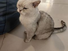 -平行世界·猫咖(首经贸店)