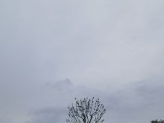 -武汉动物园