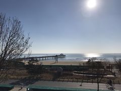 -猫的天空之城概念书店(北戴河蔚蓝海岸店)