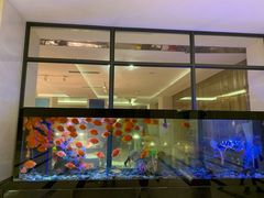 -海口绿发希尔顿酒店-田园汇自助餐·三文鱼·海鲜