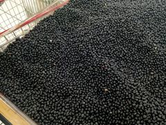 -大润发(梅兰东路店)