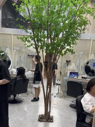 -DK SALON连锁专业烫染接发店