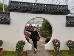 -海上花岛玫瑰园采摘