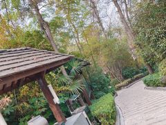 -天目湖涵田半山温泉