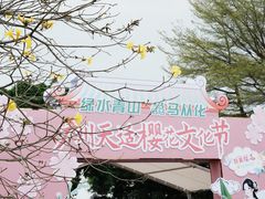 -天适樱花悠乐园