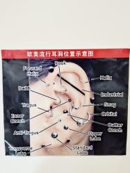 -AI艾耳·专业手工耳洞·穿孔美学馆