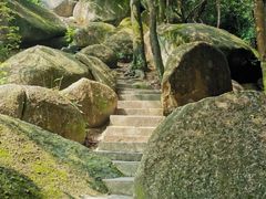 -火炉山森林公园