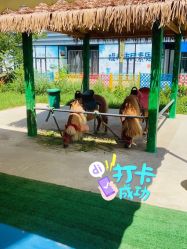 -萌宠亲子动物乐园(槐房万达店)