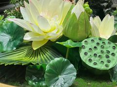 -同和·小葱伴豆腐(凤凰北路店)