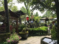 -青城甲(青城山店)