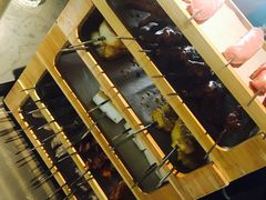 -很久以前羊肉串(中山公园店)