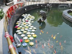 -上海东林寺(金山区)