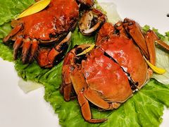 -望乡楼上海菜(日月光店)