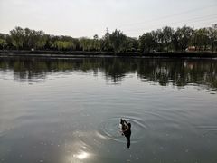 -西安汉城湖景区