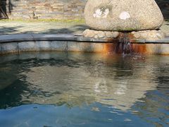 -三江森林温泉度假区