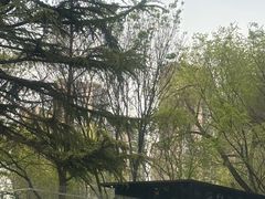 -西苑公园