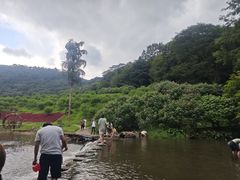 -广州市石门国家森林公园