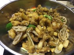-靓蛙馆