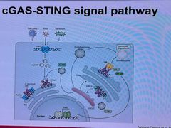 -苏州大学（独墅湖校区）-炳麟图书馆