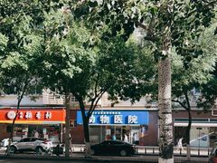 -全心全意连锁动物医院·微创中心·内科急重症·心脏专科(丰管路店)