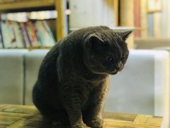 -小时光咖啡馆(开森度假森林店)
