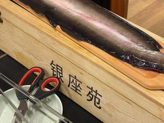 -银座苑烧肉酒场·烤活鳗(仙霞路店)