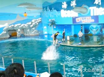 苏州旅游打卡攻略之海洋馆