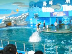 -苏州海洋馆
