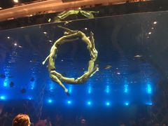 -瑞德姆美人鱼海底演艺主题餐厅(亚龙湾店)