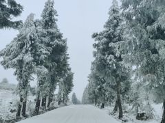 -齐岳山