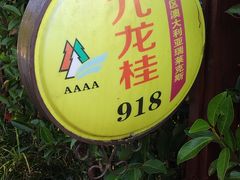 -东平国家森林公园