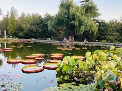 -国家植物园南园