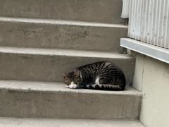 -哈尔格林姆教堂