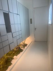 -苑苑vbeauty科技美容SPA