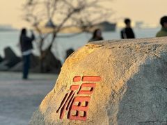-上海滨江森林公园