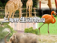 -上海野生动物园