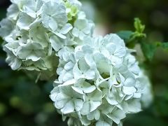 -府河摄影公园