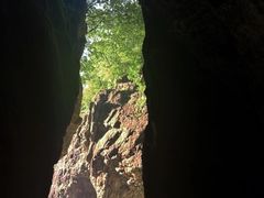 -牛背梁国家森林公园