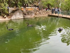 -昆明动物园