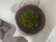 -喜茶(迪士尼小镇DP店)