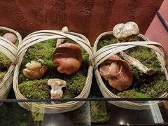 -滇野云南野生菌餐厅(陕西南路店)
