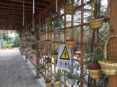 -万源龙顺度假庄园生态观光园