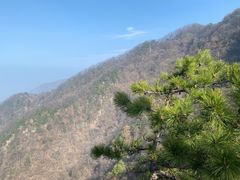 -西安祥峪森林公园