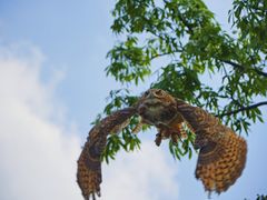 -Sony Store索尼(广州正佳店)