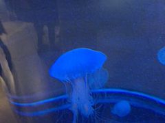 -常州海昌海洋探索馆