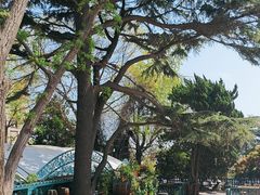 -中山路壹号传奇club·啤酒花园餐厅
