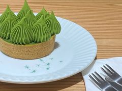 抹茶挞-猫里有甜