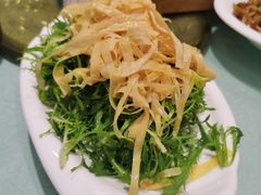 -陶然饺子城(奥体中路店)