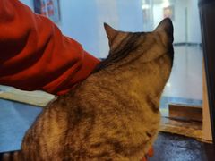 -Doors独立剧情密室(东门分店)