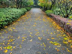-临平公园(临平街道)